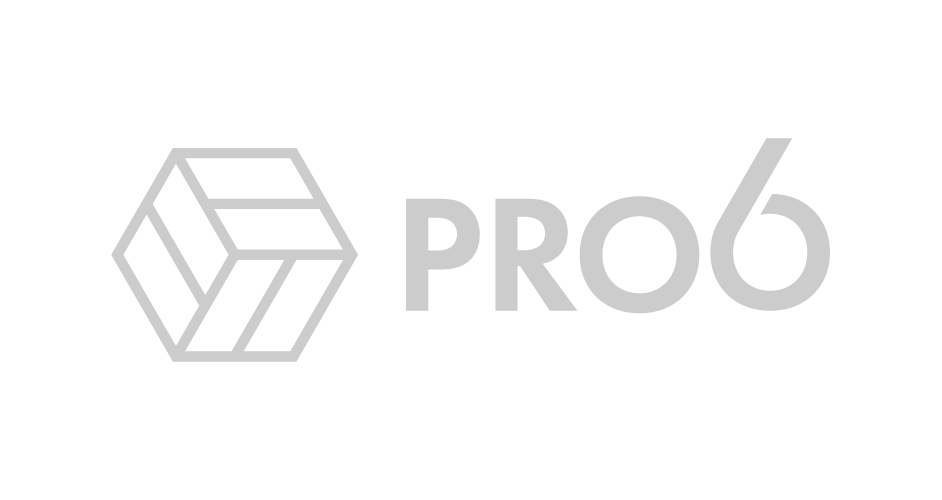Pro6 Vastgoed logo